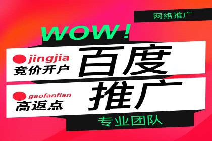 百度推广技巧：案例解析